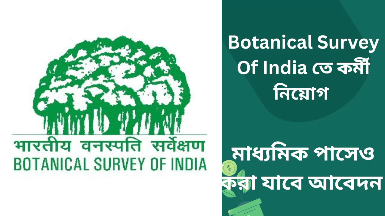 BSI Recruitment 2025