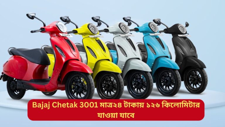 Bajaj Chetak 3001